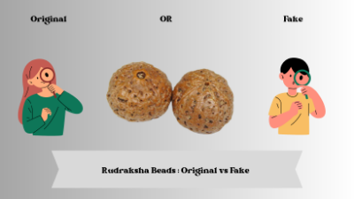 Rudraksha Beads : Original vs Fake